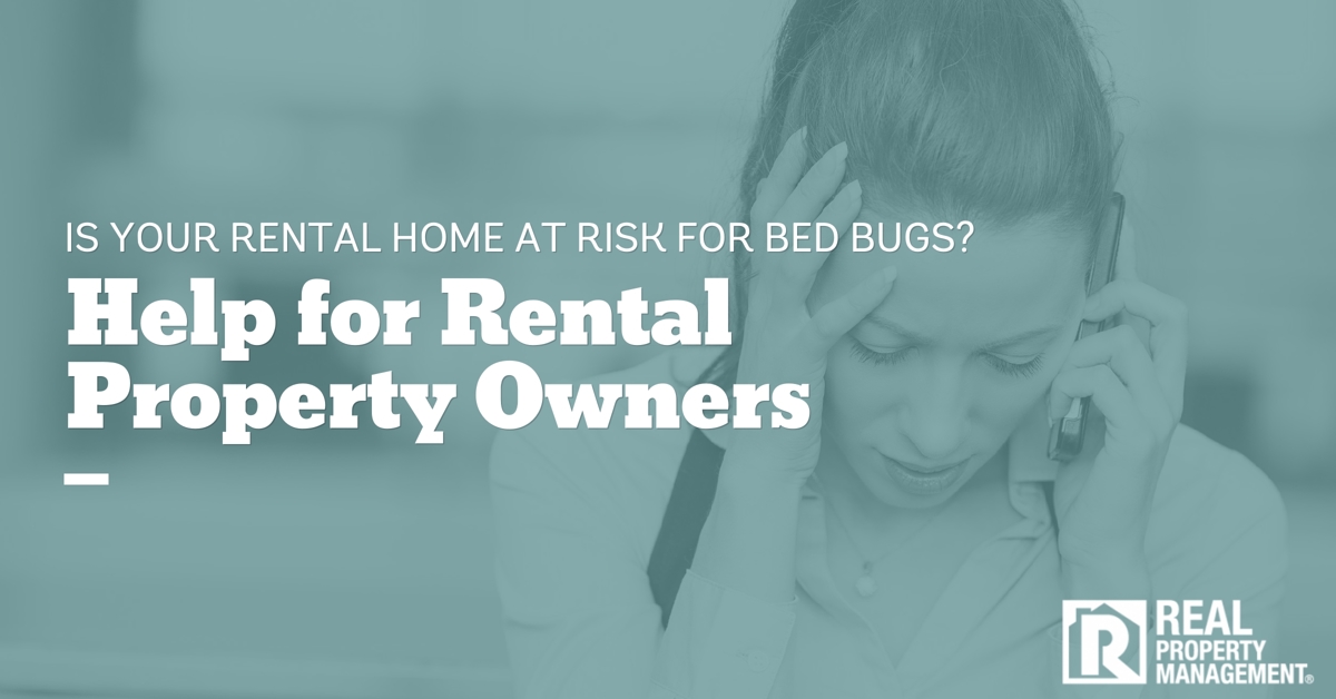 Is your rental home at risk for bed bugs?