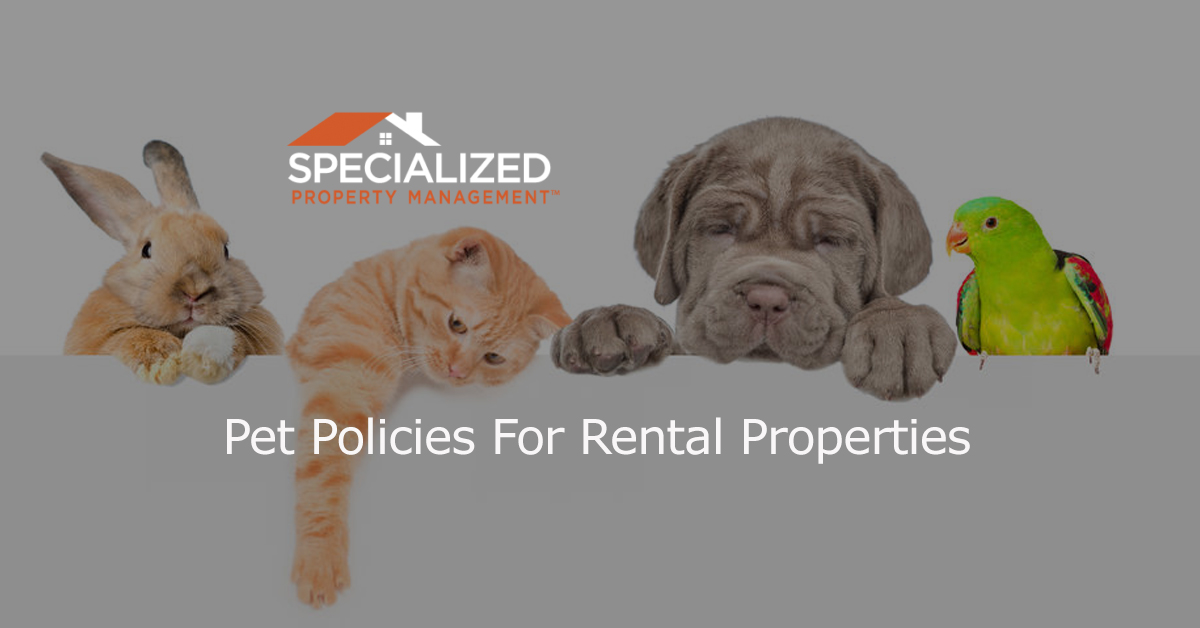 Rental Property Pet Policies