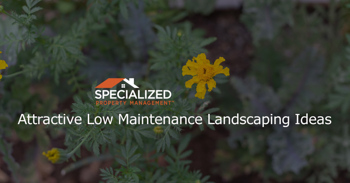 Attractive Low Maintenance Landscaping Ideas For Rental Properties In Fort Worth