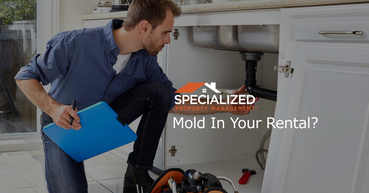 Mold In Your Rental?