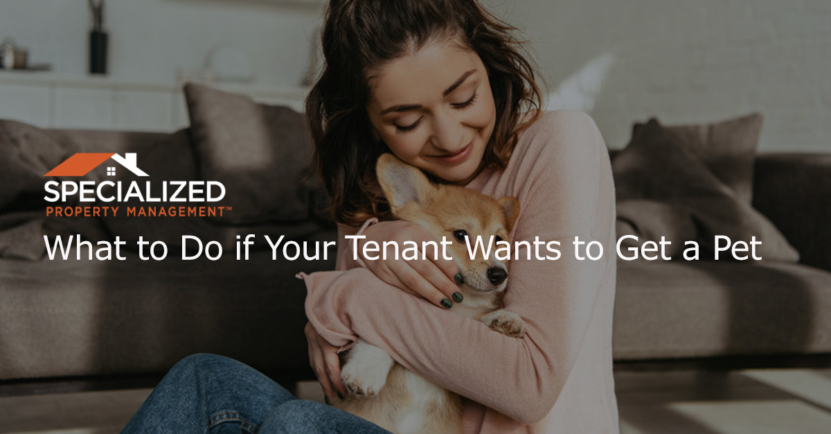 What to Do if Your Tenant Wants to Get a Pet